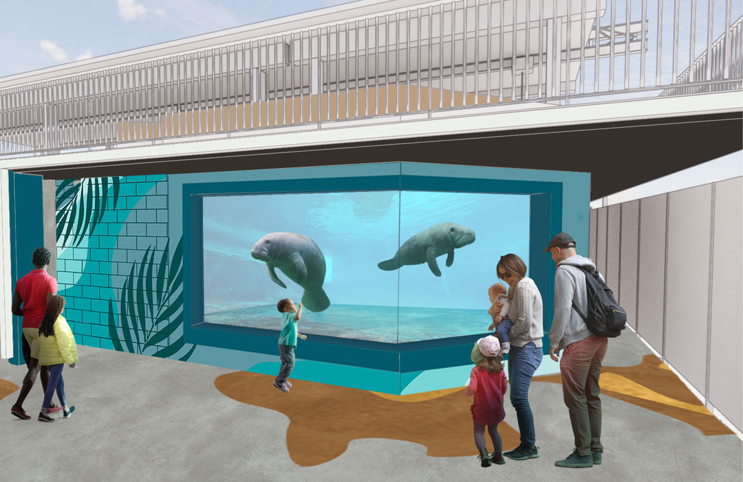 Manatee Coffee Partners with Clearwater Marine Aquarium