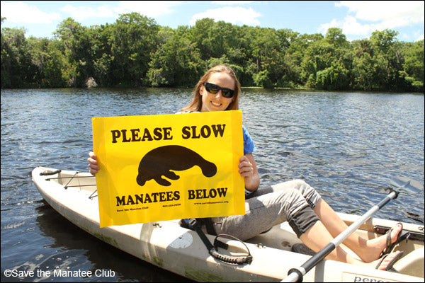 Celebrate Memorial Day the Manatee Safe Way!