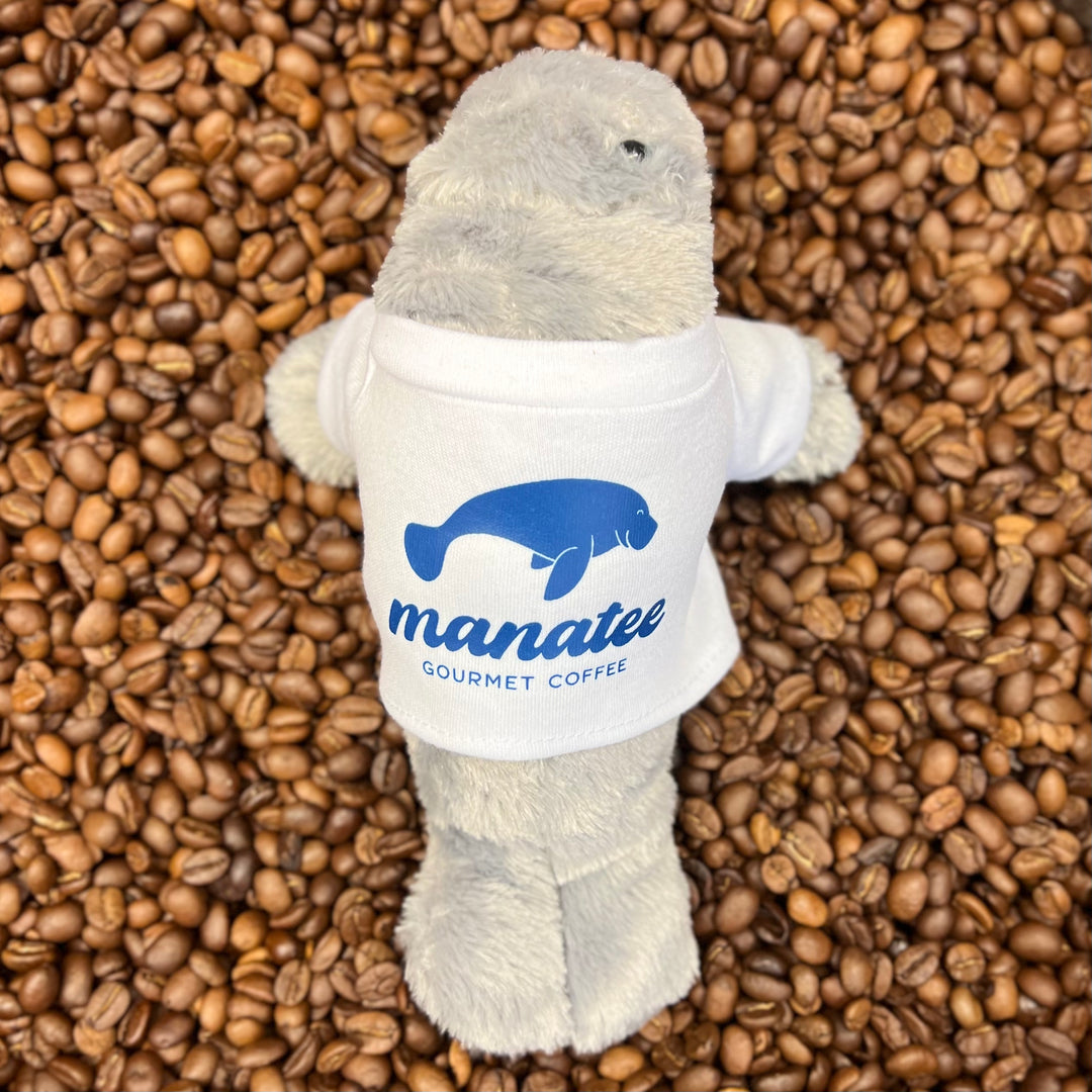 Manatee Plushie with T-Shirt